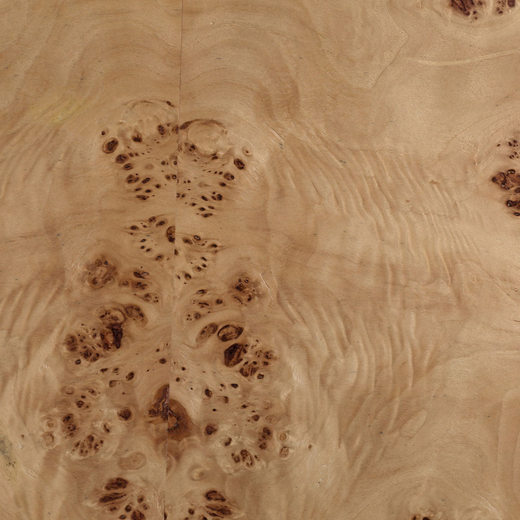 Xanthus Round Burl Coffee Table