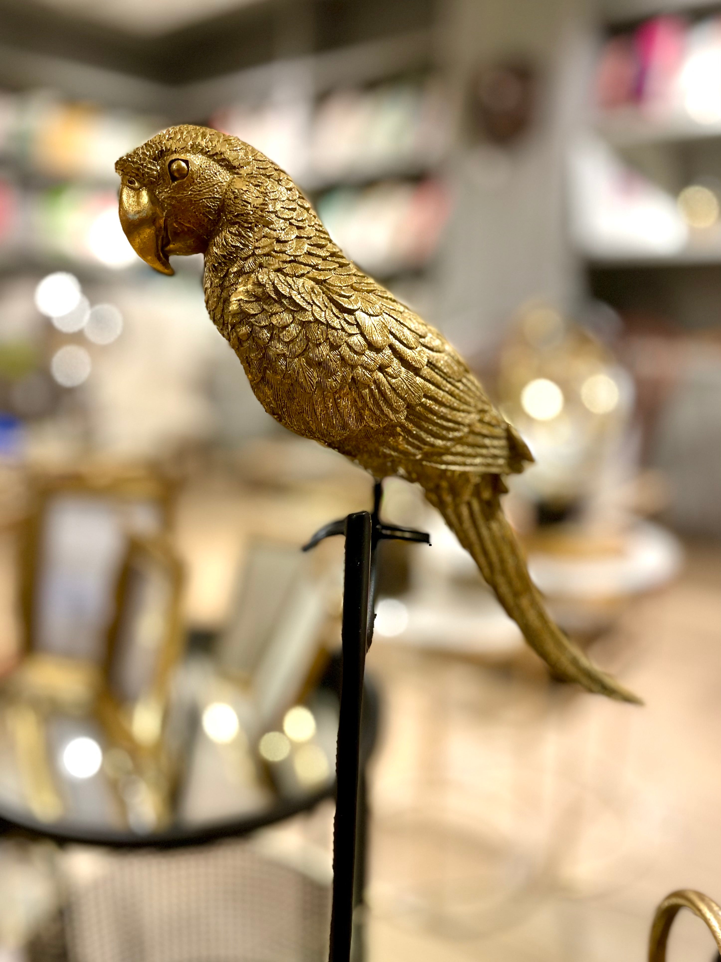 Parakeet - Gold
