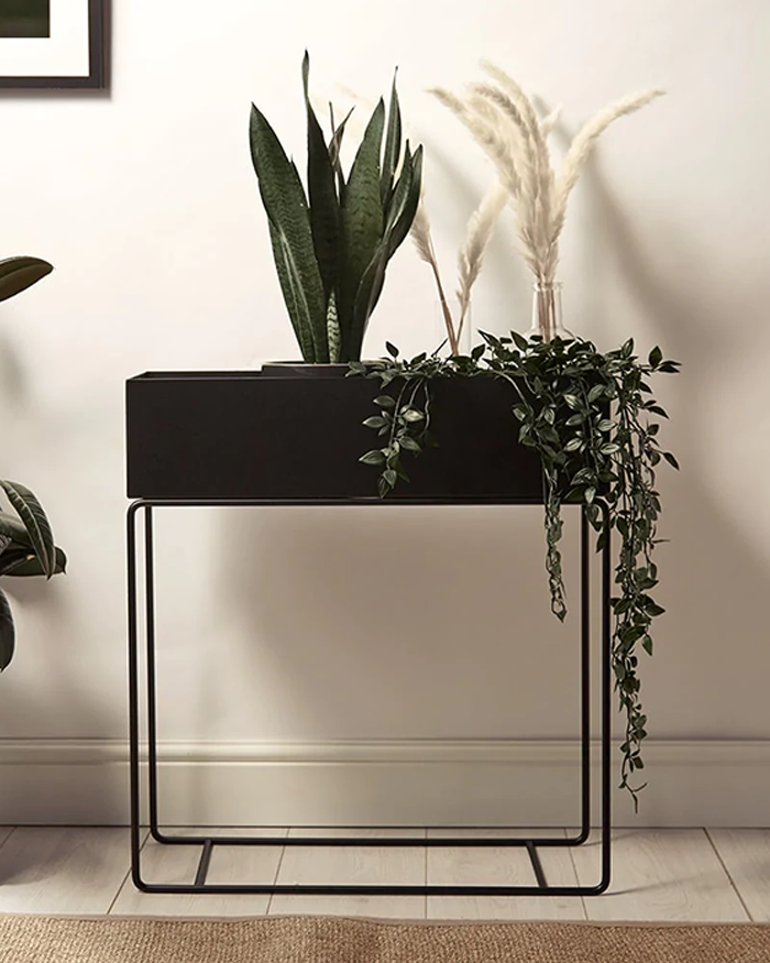 Plant Box - Black