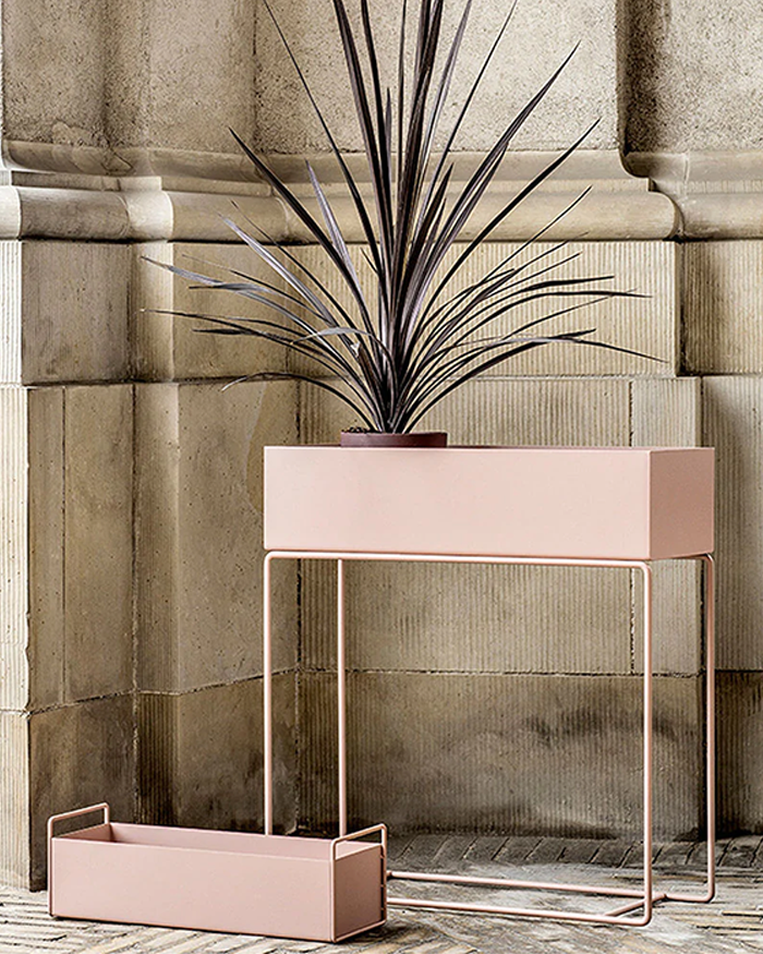 Plant Box - Pastel Pink