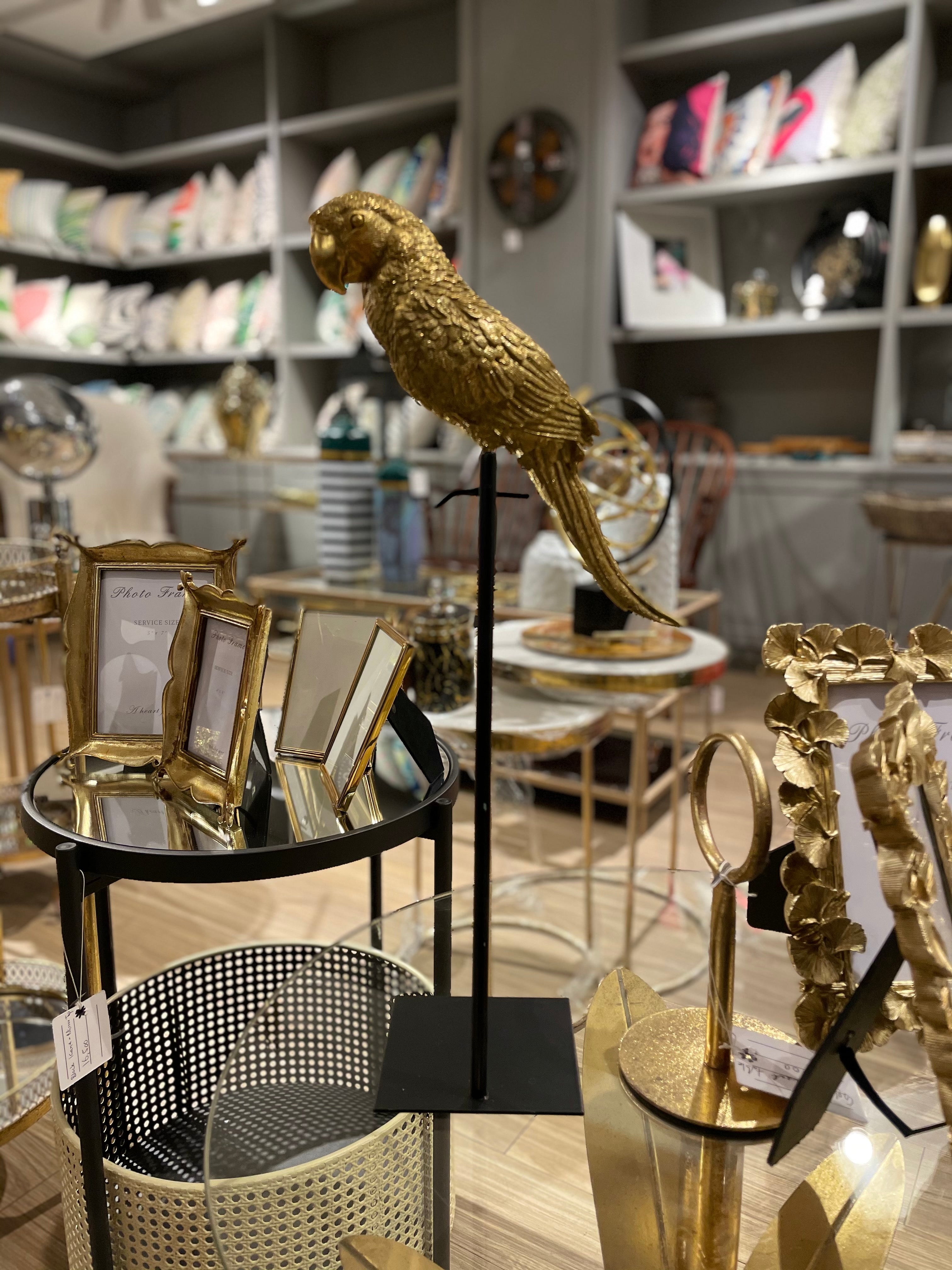 Parakeet - Gold
